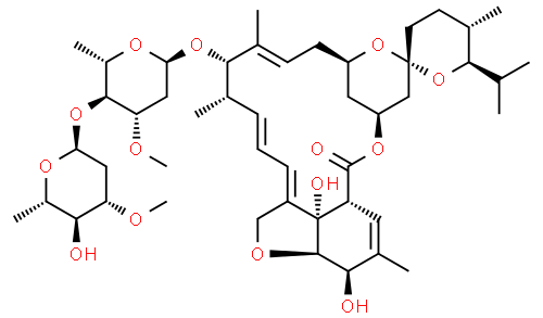 Laube Holistic | Ivermectin and COVID-19
