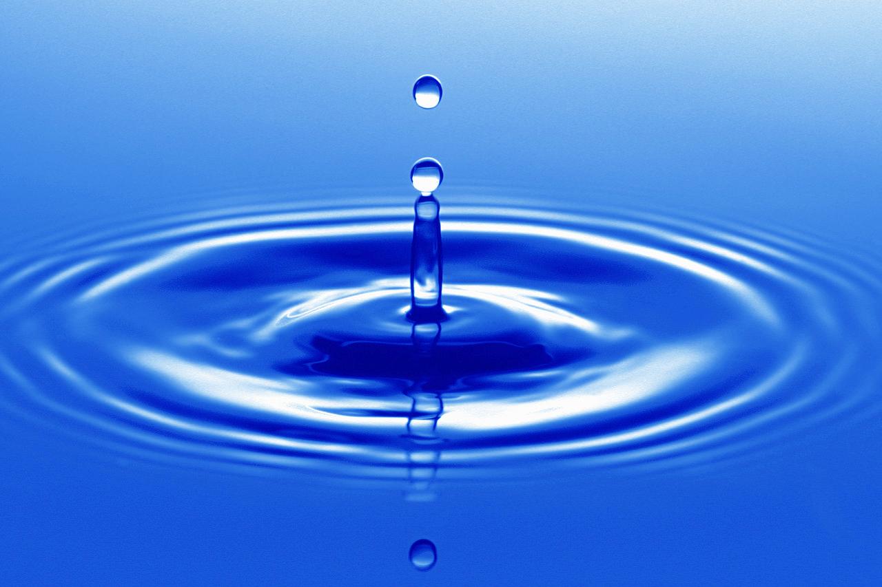 Laube Holistic|AMS-MMS Water Purification Solutions